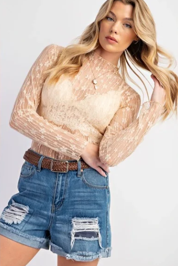 Easel Lace Sheer Top